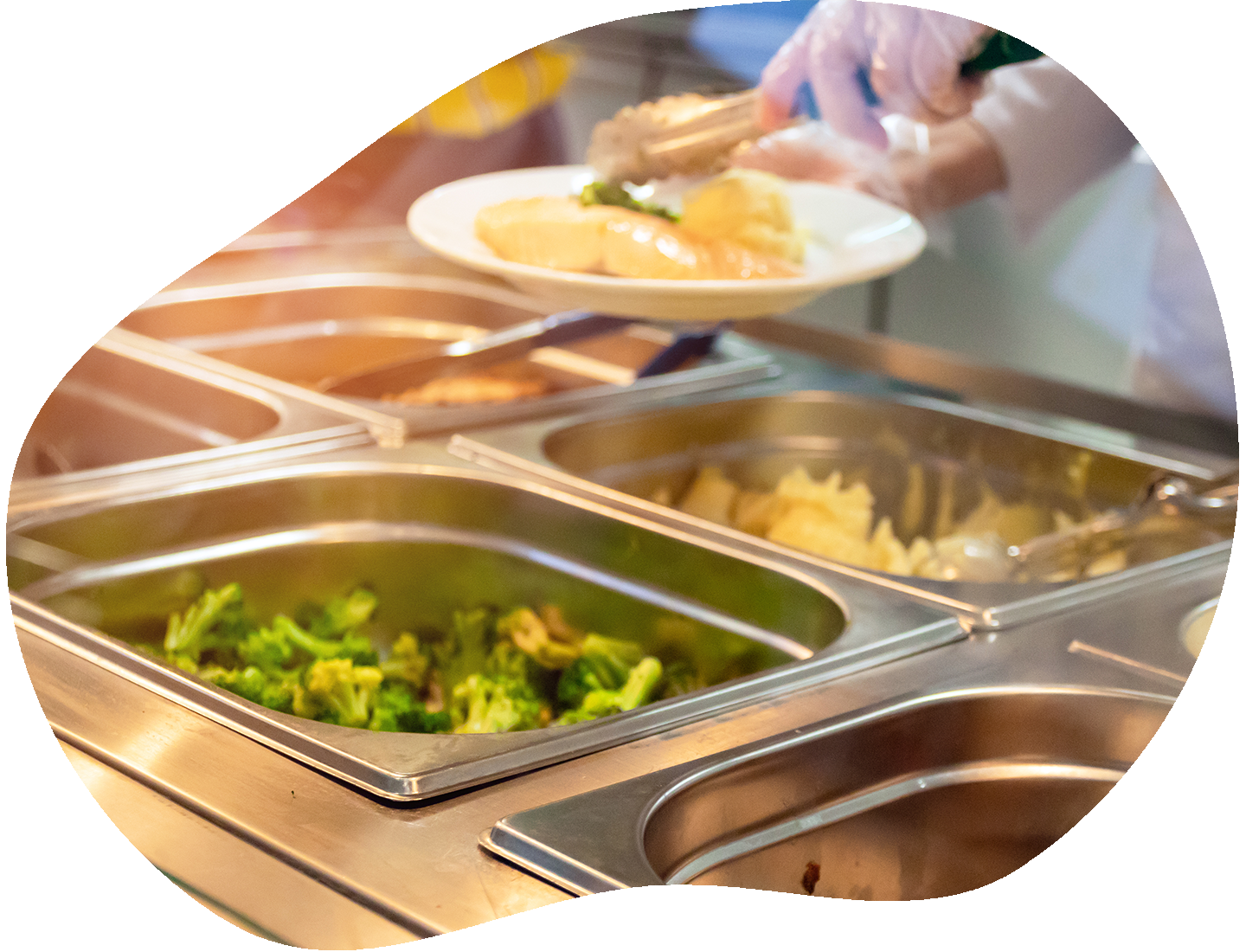 Scopri la mensa della Scuola Materna Mariuccia Castellani