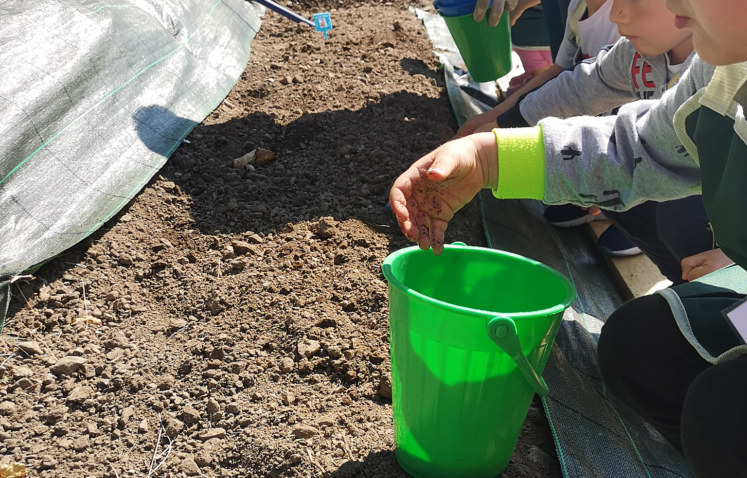 Attività Creative e Laboratori Estivi